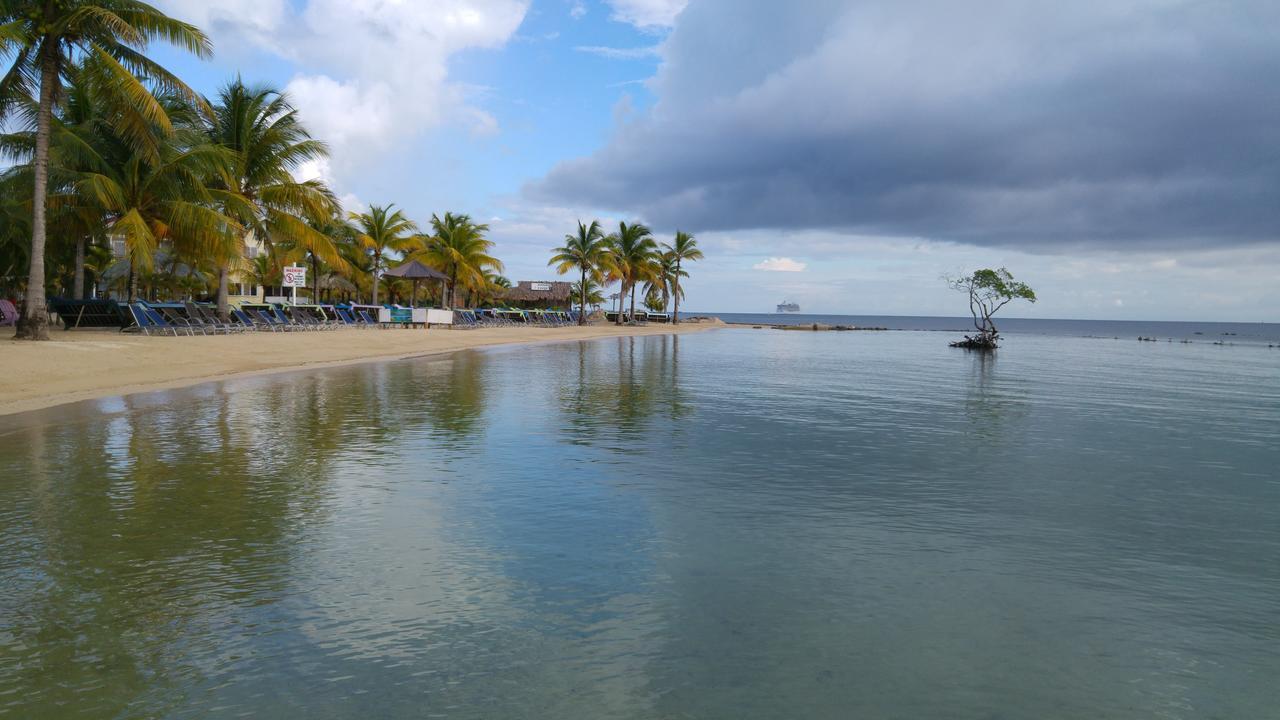 Las Palmas Beach Hotel Dixon Cove エクステリア 写真